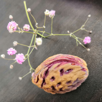 植发星平泽唯丶302