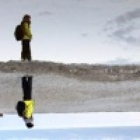 植发星小蜗牛牛不牛