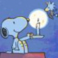 植发星DSL东方饭店