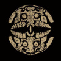 植发星′小桃ˉ8608