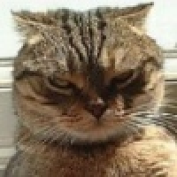 植发星杜山诗惠美0483