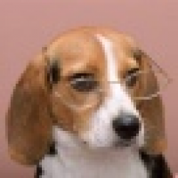 植发星爆儿███2b輐