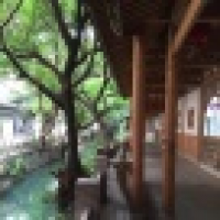 植发星iqjt1ygow911