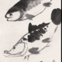 植发星血刺枫默拯g