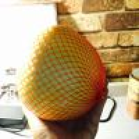 植发星遗弃的小纸56