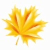 植发星啊酷玛vy