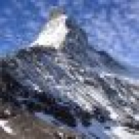 植发星閁錒0559么