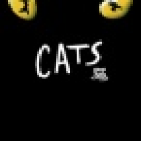 植发星刺芯爱本兮