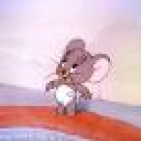 植发星小狗儿578