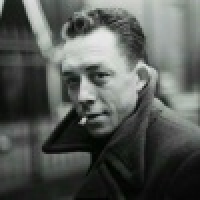 植发星郑文慧011