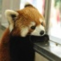 植发星hjh77582588