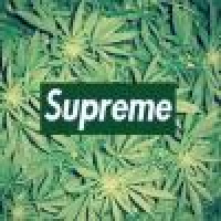 植发星闹商谂491