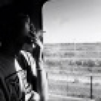 植发星梦噜活宝