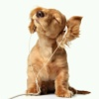 植发星路过丶111