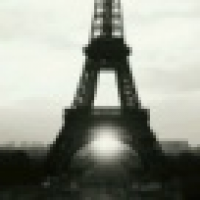 植发星任性的公猫555