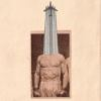 植发星老骆驼231