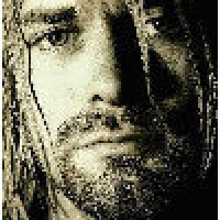 植发星稳重的18682476