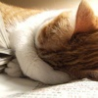 植发星3年时间WBJ