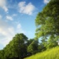 植发星付玉华wv