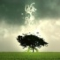 植发星雪琦不是雪琪