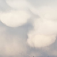 植发星__蔷衣°7820