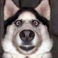 植发星诺yi小汐