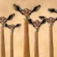 植发星羽贺瑠璃