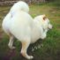 植发星上海家具团