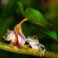 植发星丿Never灬軒