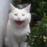 植发星鑫小朋友556