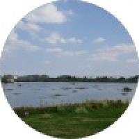 植发星小白的弟弟24