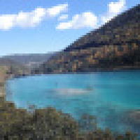 植发星窝窝小夜kg