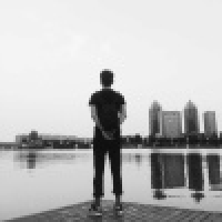 植发星那朵花70104