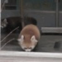 植发星183226EQViJEK