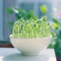 植发星flubub336426