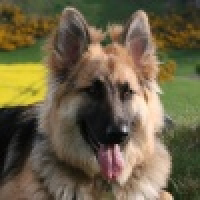 植发星地坪油漆162