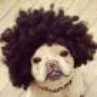 植发星discussstillh