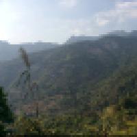 植发星lovely落花无声