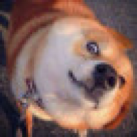 植发星阳少32743