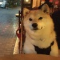 植发星暗夜BTdh4