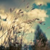 植发星恋莫_靁Y3