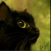 植发星啊岚君5Dq