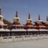 植发星resj9900dyd