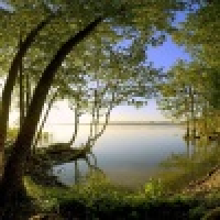 植发星陈老师是我老师