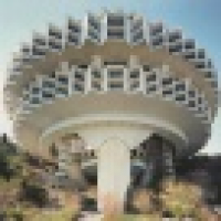 植发星大馒头饼子