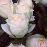 植发星中国好品牌123