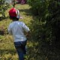 植发星大爱猫猫▲B72