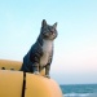 植发星悦少_grgkuz