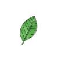 植发星xa0087313611