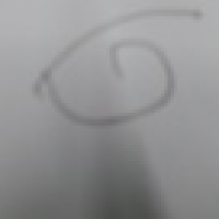 植发星foodsouth03